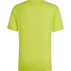 Adidas Herren GFX Trikot Entrada 22 gelb-grau