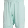 Adidas Herren Shorts Entrada 22 türkis