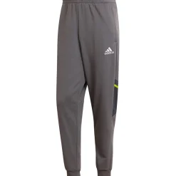Adidas Herren Sweat Pants Condivo 22 grau