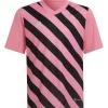 Adidas Kinder GFX Trikot Entrada 22 rosa-schwarz