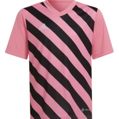Adidas Kinder GFX Trikot Entrada 22 rosa-schwarz