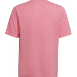 Adidas Kinder GFX Trikot Entrada 22 rosa-schwarz