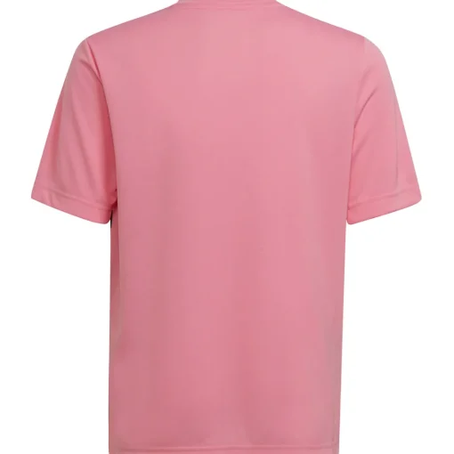 Adidas Kinder GFX Trikot Entrada 22 rosa-schwarz