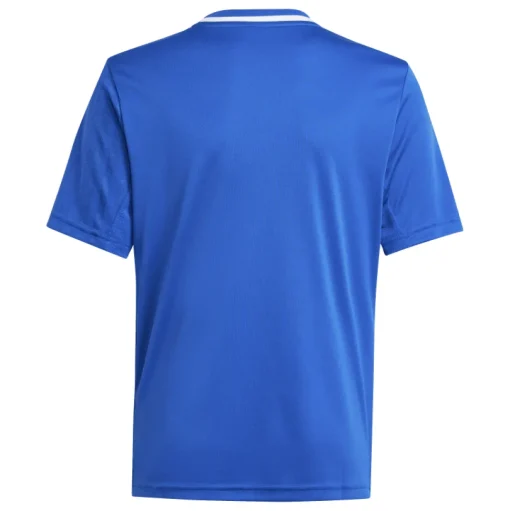Adidas Kinder Kurzarm Trikot Campeon 25 team royal blue-white