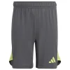 Adidas Kinder Torwartshorts Tiro 25 Pro grey five