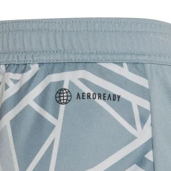 Adidas Kinder Torwartshorts Condivo 22 grau