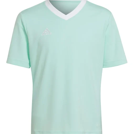 Adidas Kinder Trikot Entrada 22 türkis