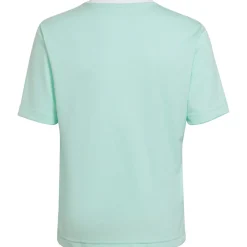 Adidas Kinder Trikot Entrada 22 türkis