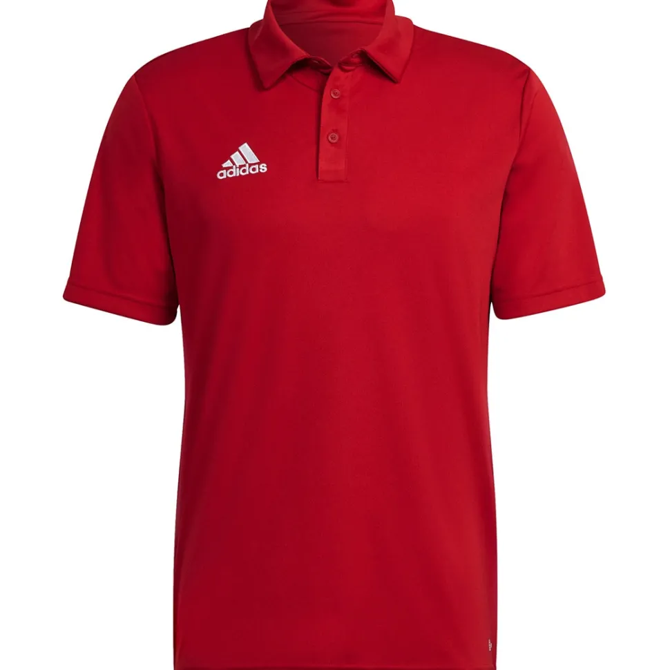 Adidas Poloshirt Entrada 22 rot