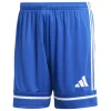 Adidas Shorts Squadra 25 team royal blue-team royal blue