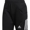 Adidas Torwartshorts Tierro schwarz