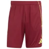 Adidas Trainingsshorts Tiro 25 Competition team coll burgundy 2
