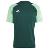 Adidas Trikot Tiro 23 Competition Team Dark Green | Beam Green