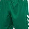 Hummel Hmlcore XK Poly Shorts evergreen