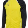 Hummel hmlLEAD 2.0 ZIP HOODIE blazing yellow/black