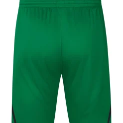 Jako Herren Sporthose Challenge grün-schwarz