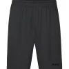 Jako Herren Sporthose World grau