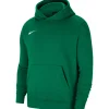 Nike Kinder Fleece Hoodie Park 20 grün