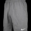 Nike Park 20 Fleece Shorts grey white F071