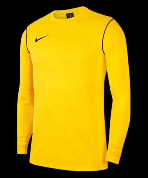 Nike Park 20 Sweatshirt yellow F719