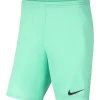 Nike Park III Herren Shorts hyper turq-schwarz
