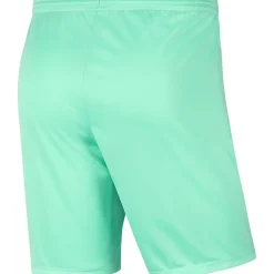 Nike Park III Herren Shorts hyper turq-schwarz