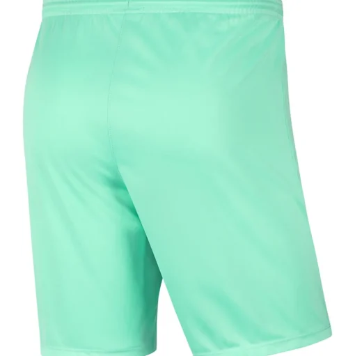 Nike Park III Herren Shorts hyper turq-schwarz