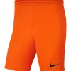 Nike Park III Kinder Shorts safety orange-schwarz