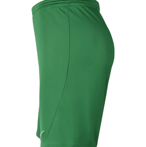 Nike Park III Kinder Shorts pine green-weiß