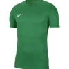 Nike Park VII Kinder Kurzarm Trikot pine green-weiß