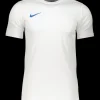 Nike Park VII Trikot white blue F102