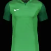 Nike Trophy V Trikot green F302