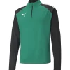 Puma 1/4 Zip Top teamLIGA grün-schwarz