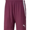 Puma Herren Shorts teamLIGA rot-weiß