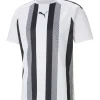 Puma Kinder Trikot teamLIGA Striped weiß-schwarz