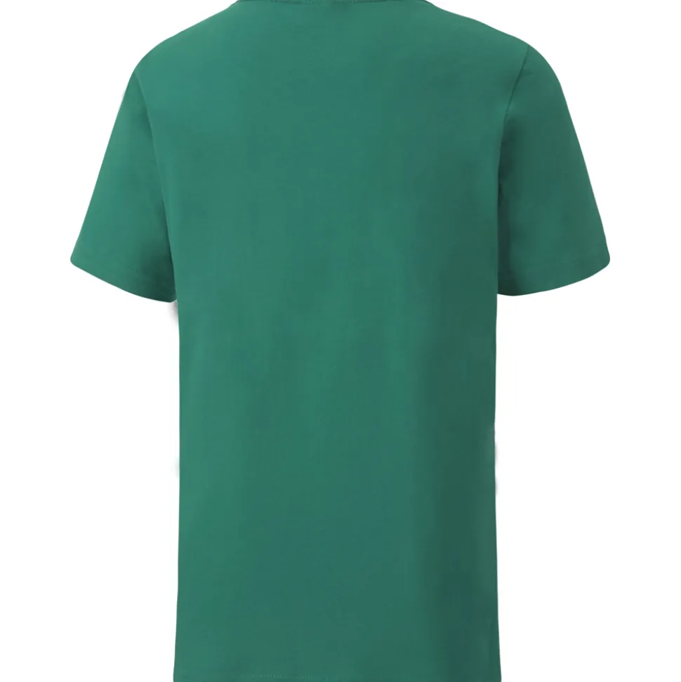 Puma Kinder T-Shirt teamGOAL 23 Casuals grün