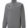 Puma Sideline Präsentationsjacke teamLIGA grau-weiß